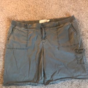 Woman’s size 22 shorts